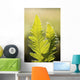Close-Up Of Green Ferns Wall Mural