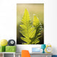 Close-Up Of Green Ferns Wall Mural