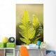 Close-Up Of Green Ferns Wall Mural