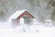 Guthrie Covered Bridge In Blowing Snow Wall Mural