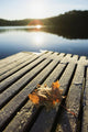 Sunrise Over Leaf On Floating Dock In Mont-Saint-Bruno National Park Wall Mural
