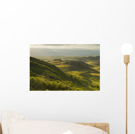 Killdeer Badlands In The East Block Of Grasslands National Park Wall Mural