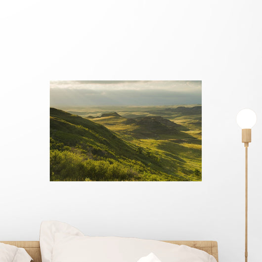 Killdeer Badlands In The East Block Of Grasslands National Park Wall Mural