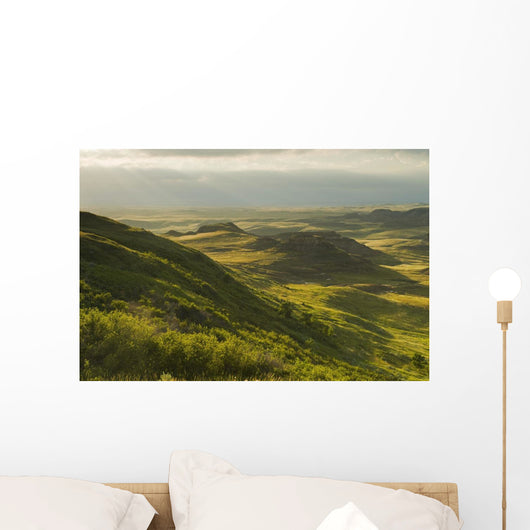 Killdeer Badlands In The East Block Of Grasslands National Park Wall Mural