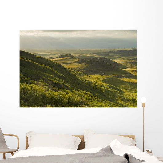 Killdeer Badlands In The East Block Of Grasslands National Park Wall Mural