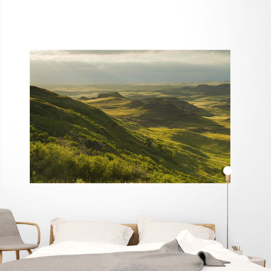 Killdeer Badlands In The East Block Of Grasslands National Park Wall Mural