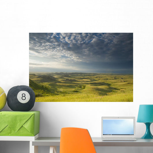 Killdeer Badlands In The East Block Of Grasslands National Park Wall Mural