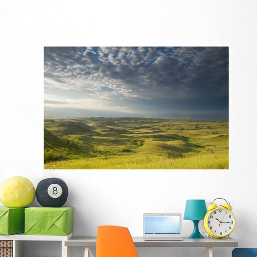 Killdeer Badlands In The East Block Of Grasslands National Park Wall Mural