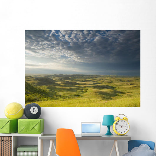 Killdeer Badlands In The East Block Of Grasslands National Park Wall Mural
