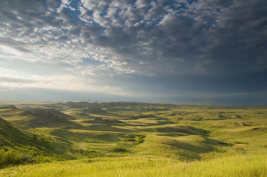 Killdeer Badlands In The East Block Of Grasslands National Park Wall Mural