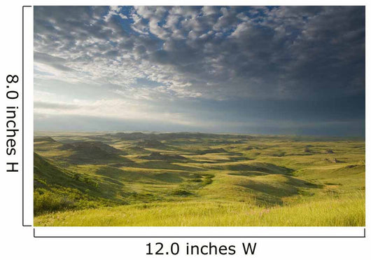 Killdeer Badlands In The East Block Of Grasslands National Park Wall Mural