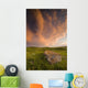 West Block Of Grasslands National Park Wall Mural