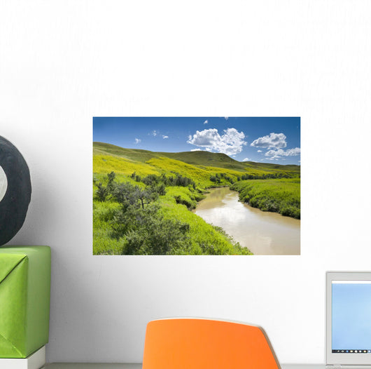 Frenchman River In West Block Of Grasslands National Park Wall Mural