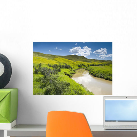 Frenchman River In West Block Of Grasslands National Park Wall Mural