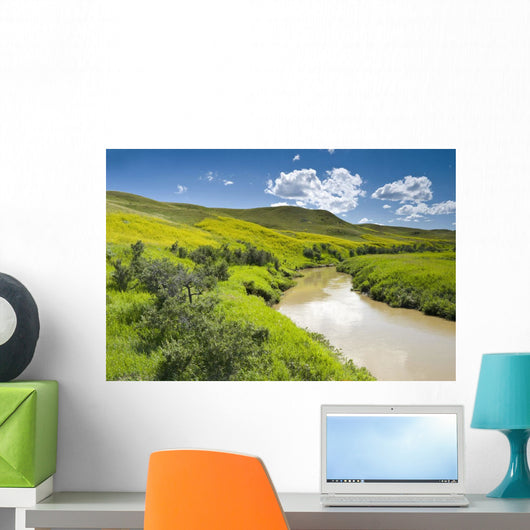 Frenchman River In West Block Of Grasslands National Park Wall Mural