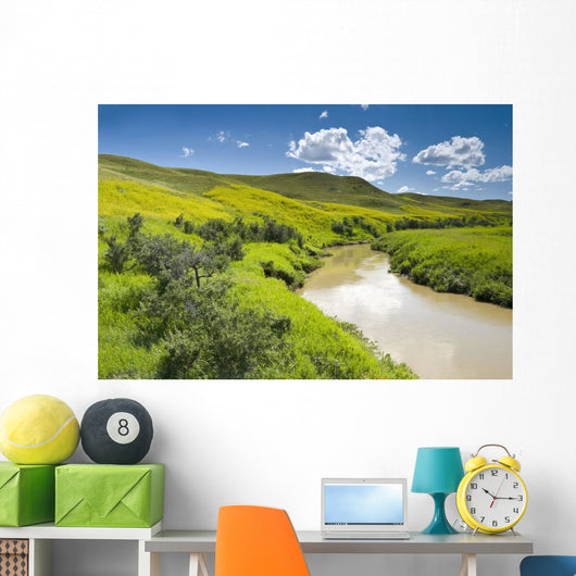 Frenchman River In West Block Of Grasslands National Park Wall Mural