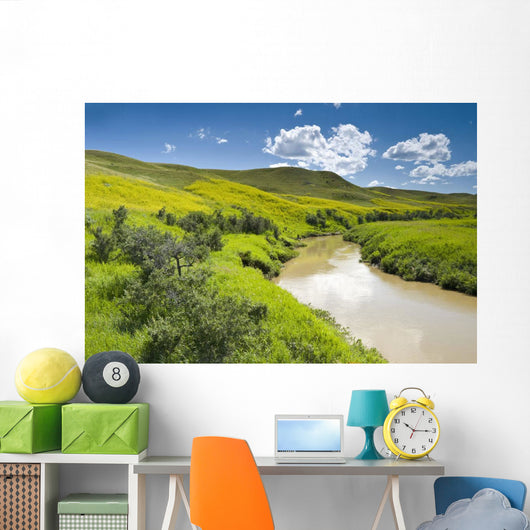 Frenchman River In West Block Of Grasslands National Park Wall Mural