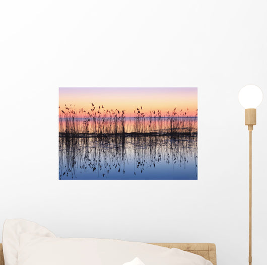 Reeds Reflected In Water At Dusk Wall Mural