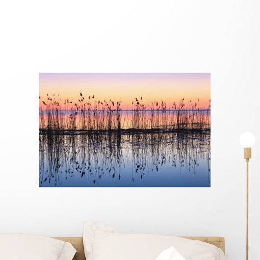 Reeds Reflected In Water At Dusk Wall Mural