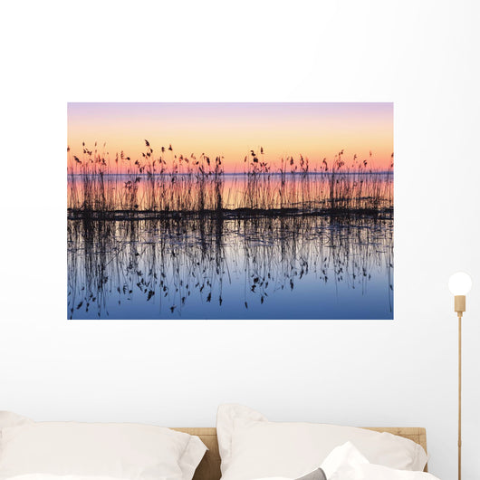 Reeds Reflected In Water At Dusk Wall Mural