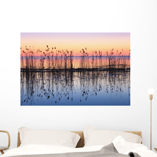 Reeds Reflected In Water At Dusk Wall Mural