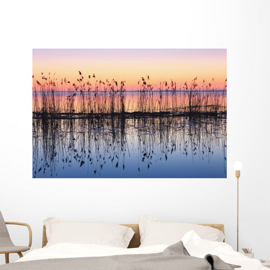 Reeds Reflected In Water At Dusk Wall Mural