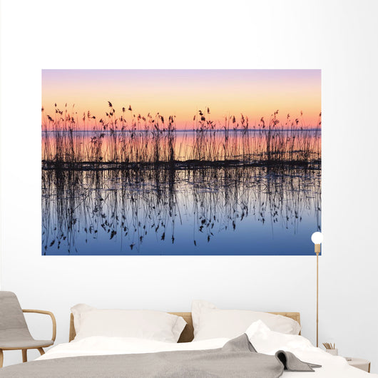 Reeds Reflected In Water At Dusk Wall Mural