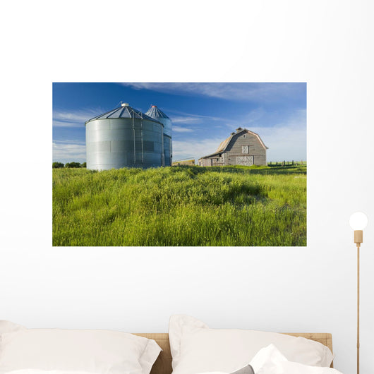 Old Barn With Metal Grain Bins Wall Mural