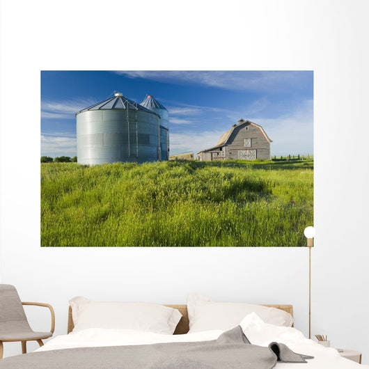 Old Barn With Metal Grain Bins Wall Mural
