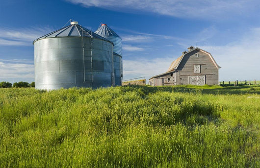 Old Barn With Metal Grain Bins Wall Mural