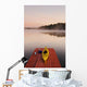 Kayak On Dock In Northwestern Ontario Wall Mural