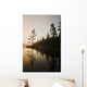 Tree Silhouettes By Rushing River Wall Mural