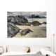 Whaler Islet With View Towards Flores Island Wall Mural