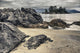 Whaler Islet With View Towards Flores Island Wall Mural