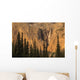 Sunrise Illuminates Helmet Falls In Kootenay National Park Wall Mural