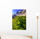 False Hellebore Wall Mural