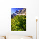 False Hellebore Wall Mural