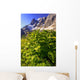 False Hellebore Wall Mural