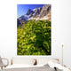 False Hellebore Wall Mural
