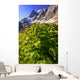 False Hellebore Wall Mural