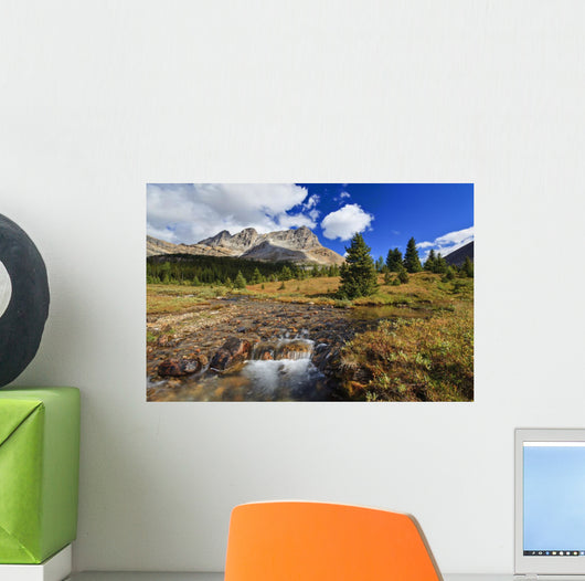 A Small Stream Enroute To Baker Lake Wall Mural