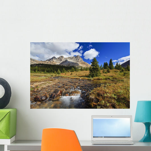 A Small Stream Enroute To Baker Lake Wall Mural