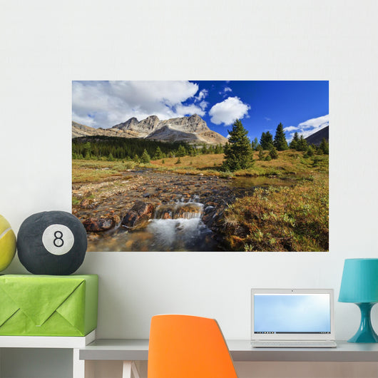 A Small Stream Enroute To Baker Lake Wall Mural