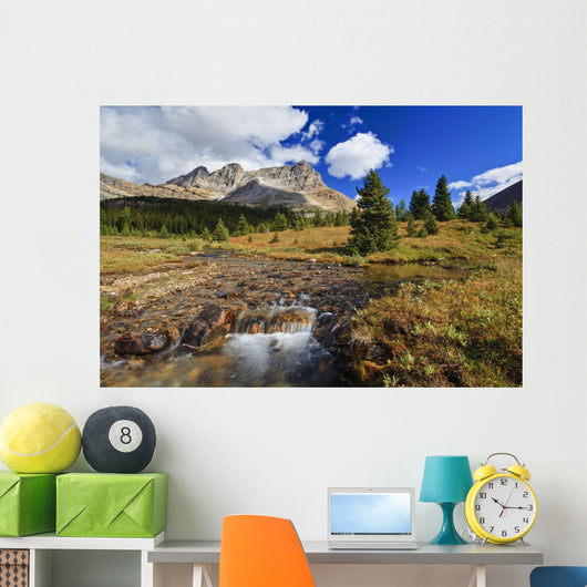 A Small Stream Enroute To Baker Lake Wall Mural
