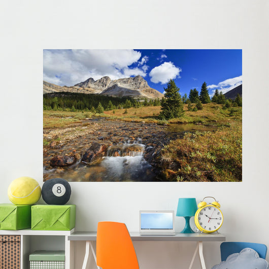 A Small Stream Enroute To Baker Lake Wall Mural