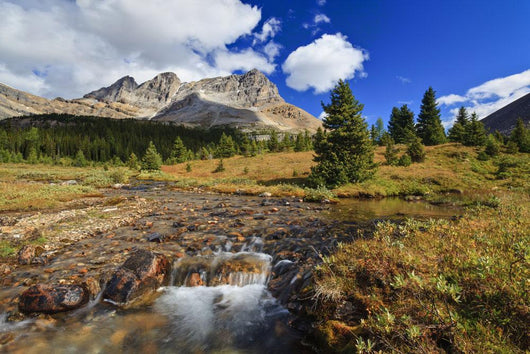 A Small Stream Enroute To Baker Lake Wall Mural