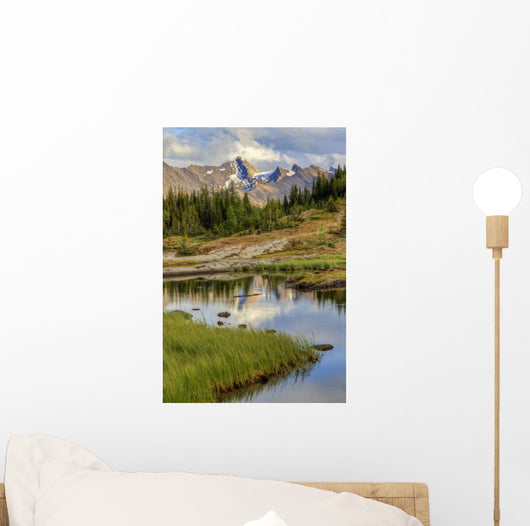 A Gentle Stream Flows Out Of Baker Lake Through The Skoki Wilderness Wall Mural