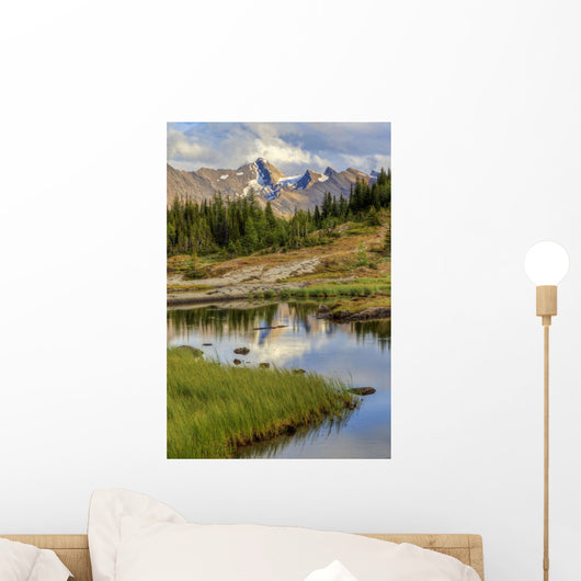 A Gentle Stream Flows Out Of Baker Lake Through The Skoki Wilderness Wall Mural