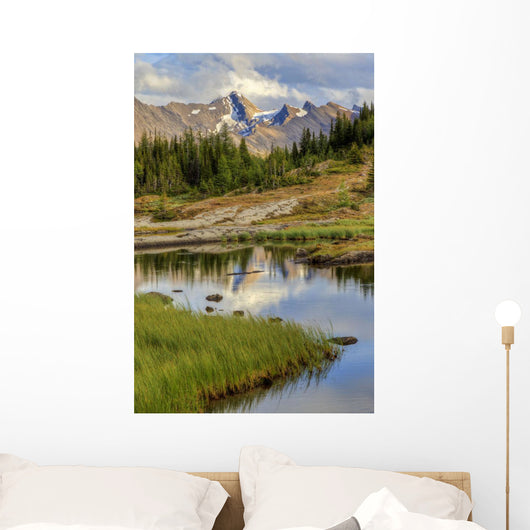 A Gentle Stream Flows Out Of Baker Lake Through The Skoki Wilderness Wall Mural