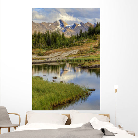 A Gentle Stream Flows Out Of Baker Lake Through The Skoki Wilderness Wall Mural